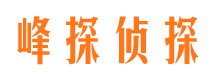 开封市调查公司